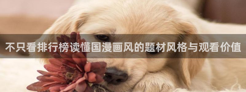 汗汗漫画大全高分推荐：不只看排行榜读懂国漫画风的题材风格与观看价值配图