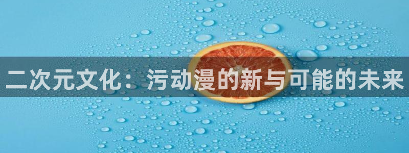 汗汗漫画免费中文版:二次元文化:污动漫的新与可能的未来配图