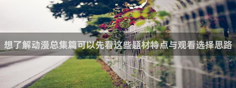 汗汗漫画排行榜前十:想了解动漫总集篇可以先看这些题材特点与观看选择思路配图