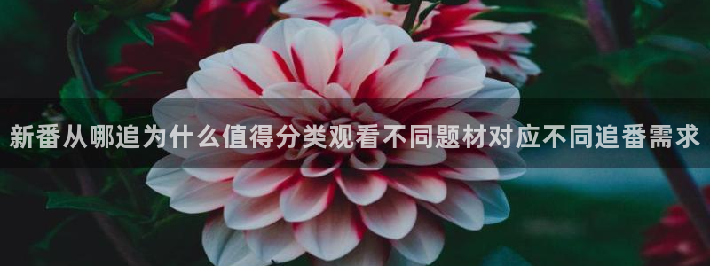 汗汗漫画分类大全：新番从哪追为什么值得分类观看不同题材对应不同追番需求配图