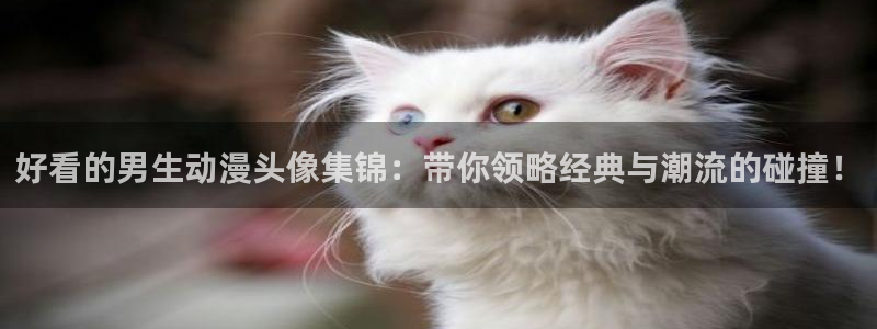 汗汗漫画全部分类:好看的男生动漫头像集锦:带你领略经典与潮流的碰撞!配图