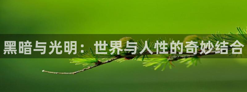 汗汗漫画最新榜:黑暗与光明:世界与人性的奇妙结合配图