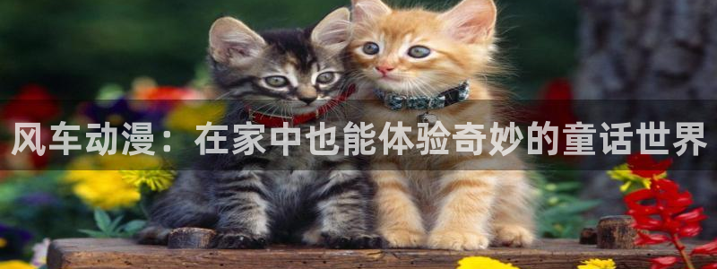 汗汗漫画有什么推荐:风车动漫:在家中也能体验奇妙的童话世界配图