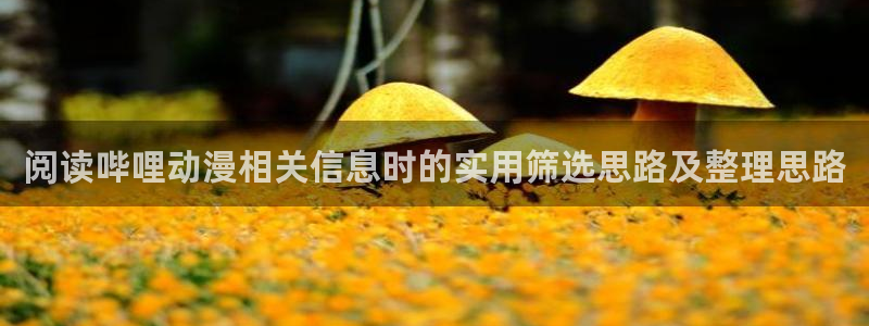 2026汗汗漫画连载:阅读哔哩动漫相关信息时的实用筛选思路及整理思路配图